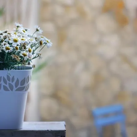 Apartment Blue Courtyard Not Valid Bari