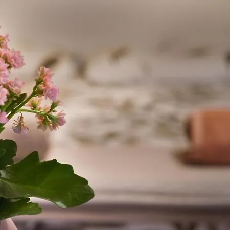 Blue Courtyard Not Valid Apartment