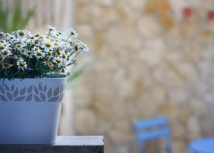 Διαμέρισμα Blue Courtyard Not Valid Μπάρι